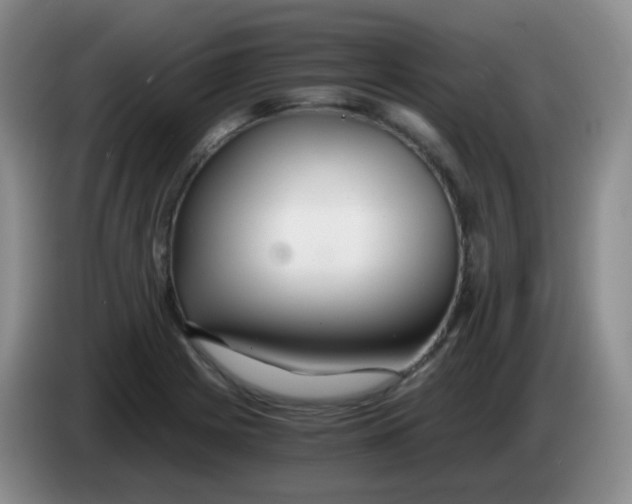 X0000083981225200703091817