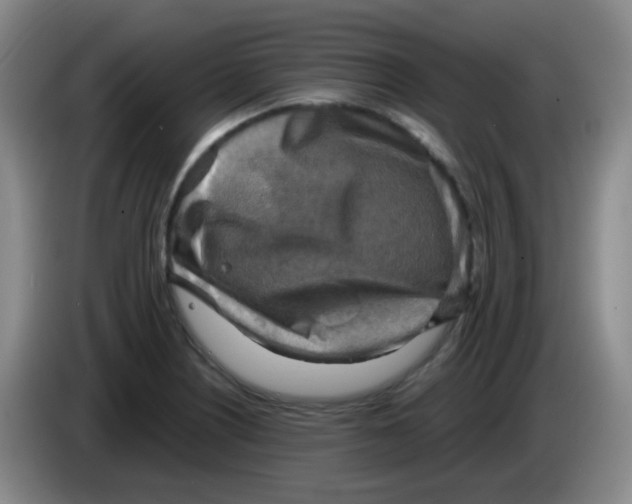 X0000083981226200703091817