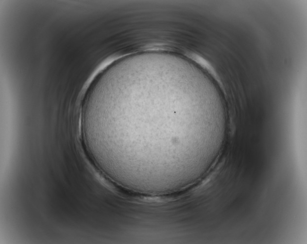 X0000083981227200703091817