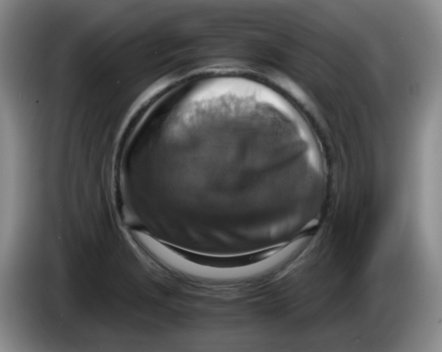 X0000083981229200703091817