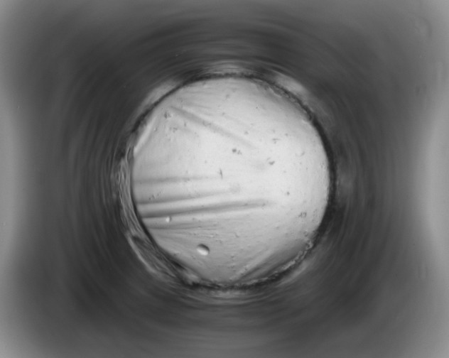 X0000083981233200703091817