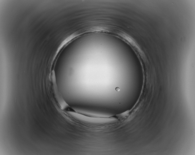 X0000083981234200703091817