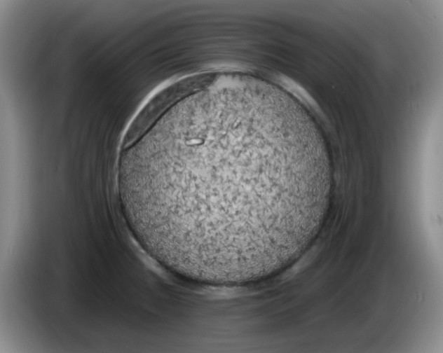 X0000083981236200703091817