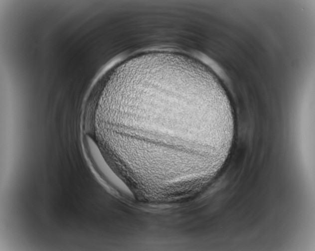 X0000083981237200703091817