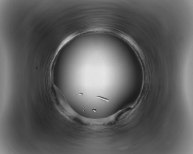 X0000083981242200703091817