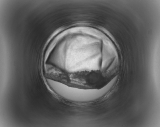 X0000083981245200703091817