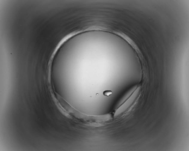 X0000083981246200703091817