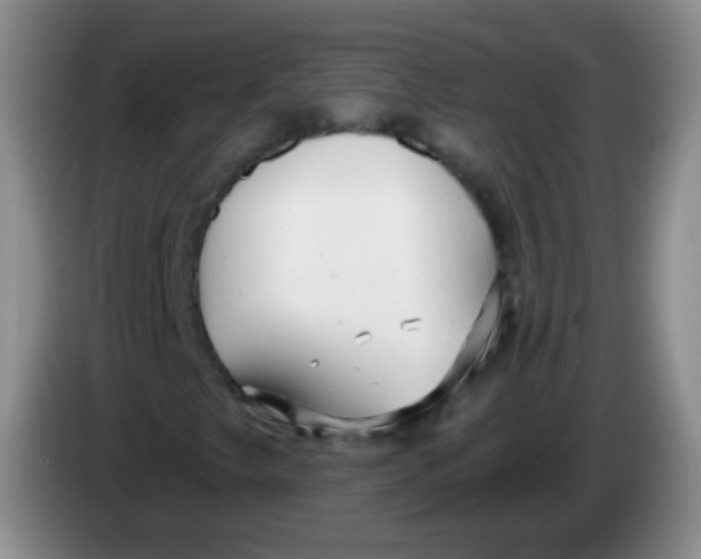 X0000083981249200703091816