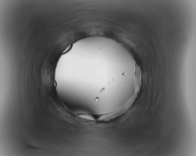 X0000083981250200703091816