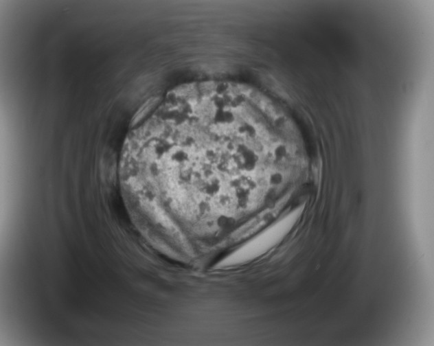 X0000083981251200703091816