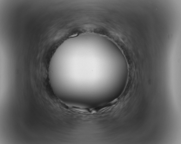 X0000083981253200703091816