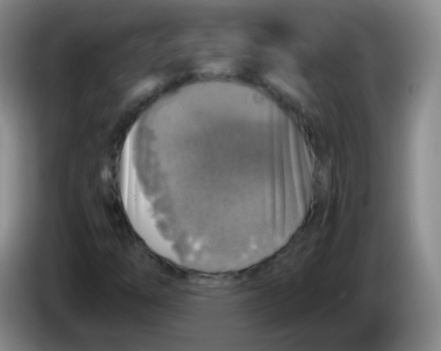 X0000083981254200703091816