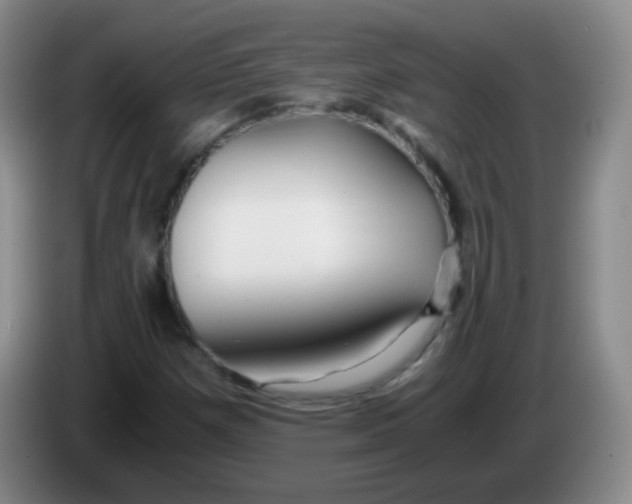 X0000083981257200703091816