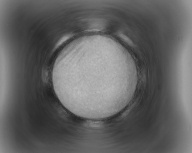 X0000083981258200703091816