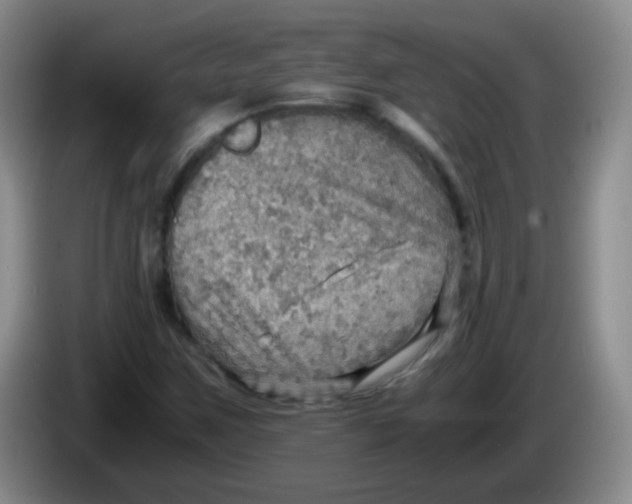 X0000083981259200703091816