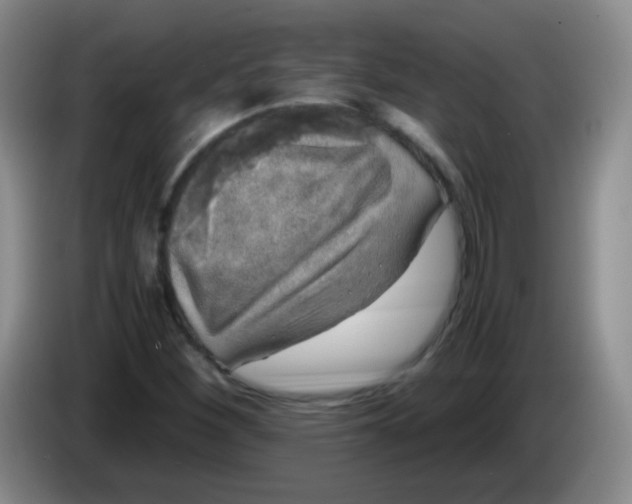 X0000083981260200703091816