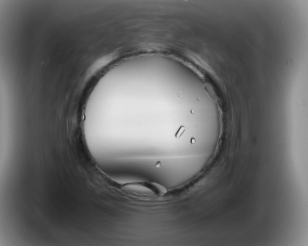 X0000083981261200703091816