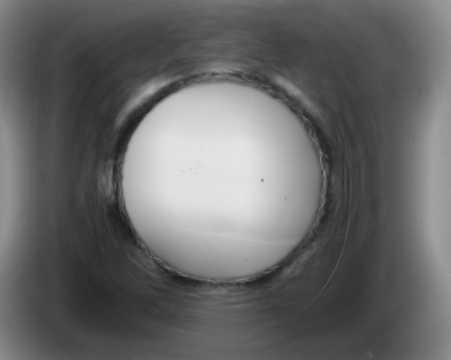 X0000083981262200703091816