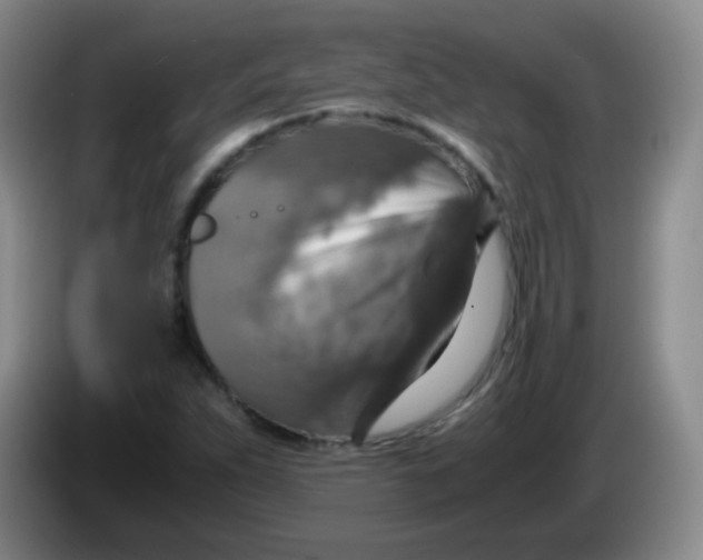 X0000083981263200703091816