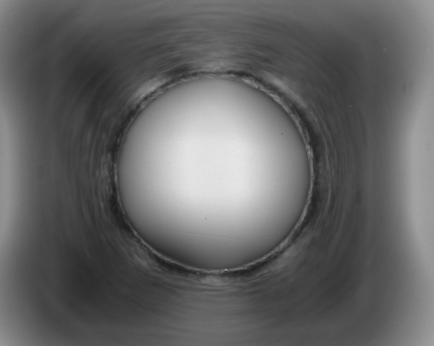 X0000083981265200703091816