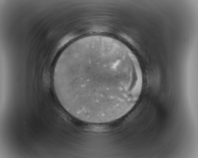 X0000083981266200703091816