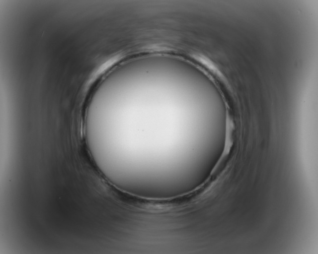 X0000083981269200703091816