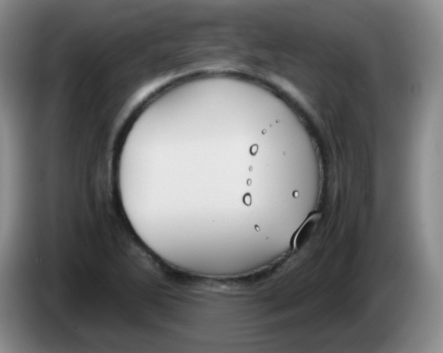 X0000083981270200703091816