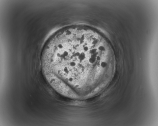 X0000083981271200703091816