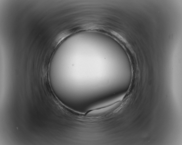 X0000083981273200703091816