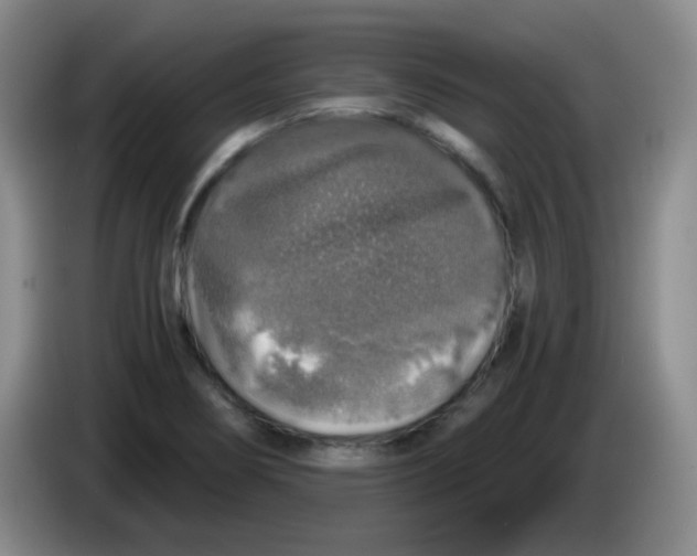 X0000083981274200703091816