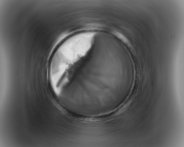 X0000083981275200703091816