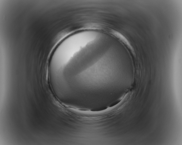 X0000083981276200703091816