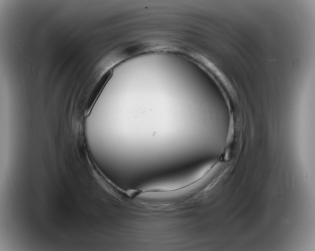 X0000083981281200703091816