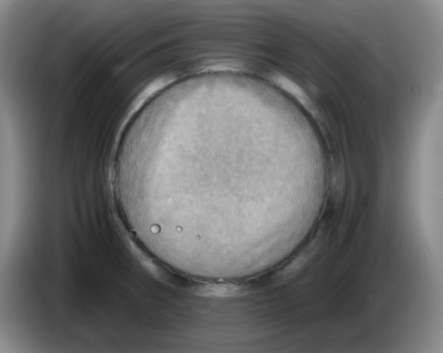 X0000083981282200703091816