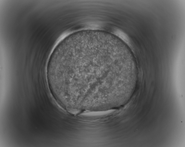 X0000083981283200703091816