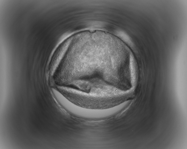 X0000083981284200703091816