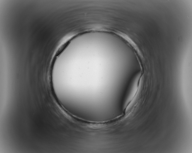 X0000083981285200703091816