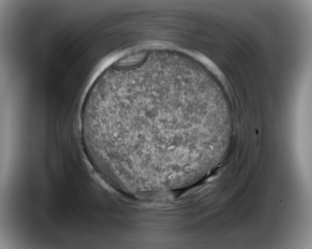 X0000083981287200703091816