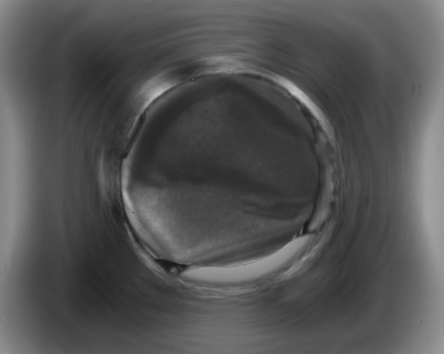 X0000083981289200703091816