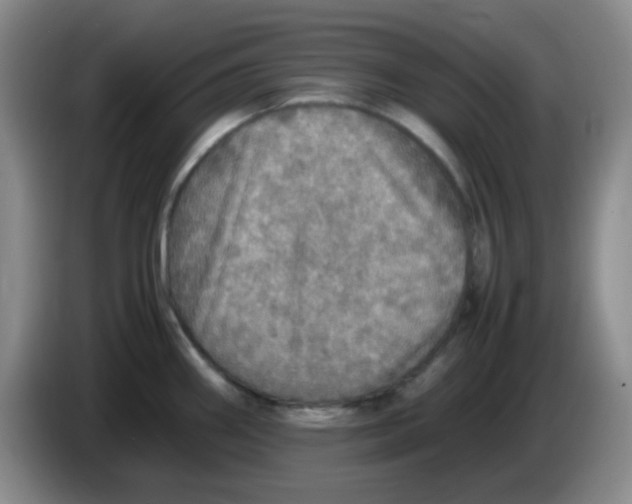 X0000083981290200703091816