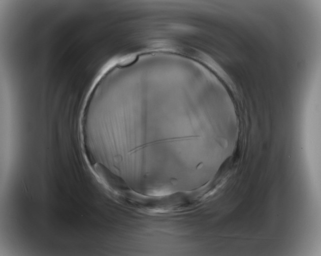 X0000083981291200703091816