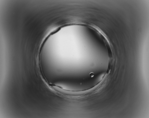 X0000083981293200703091816