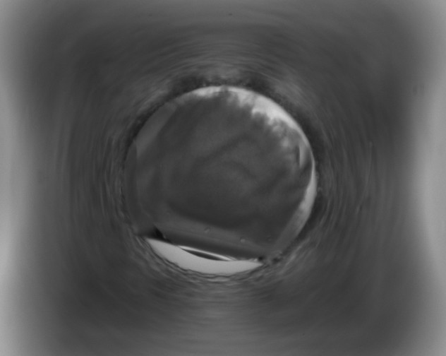 X0000083981297200703091815