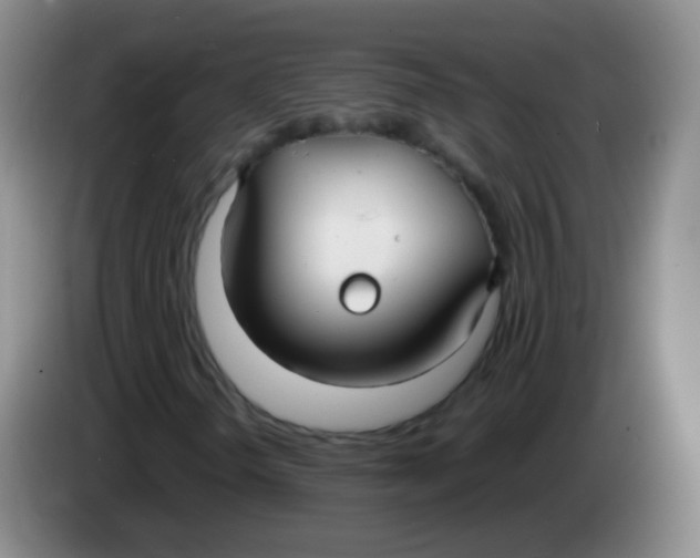 X0000083981298200703091815