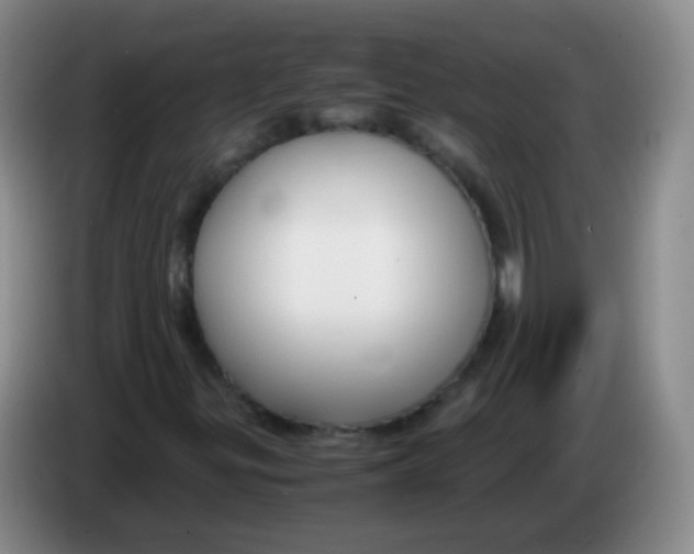 X0000083981299200703091815