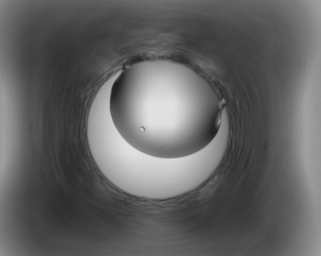 X0000083981300200703091815