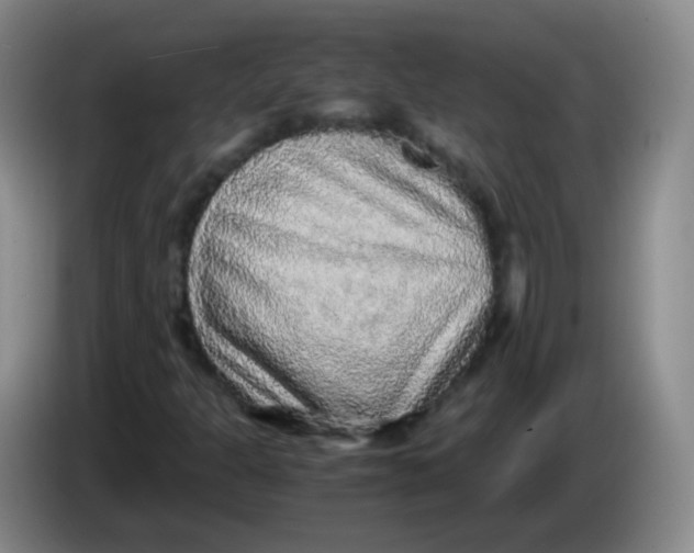 X0000083981301200703091815