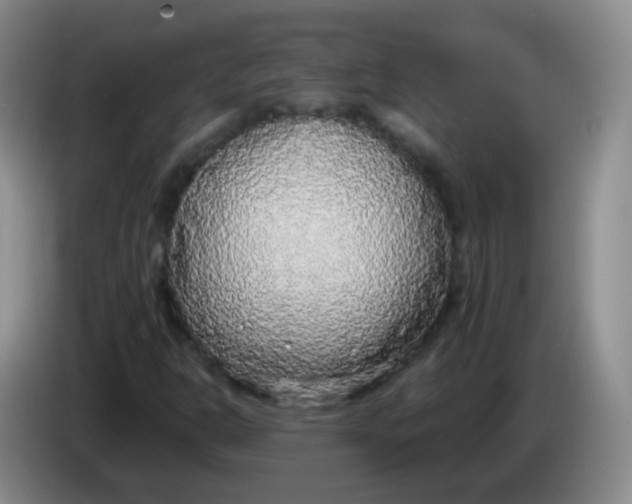 X0000083981302200703091815