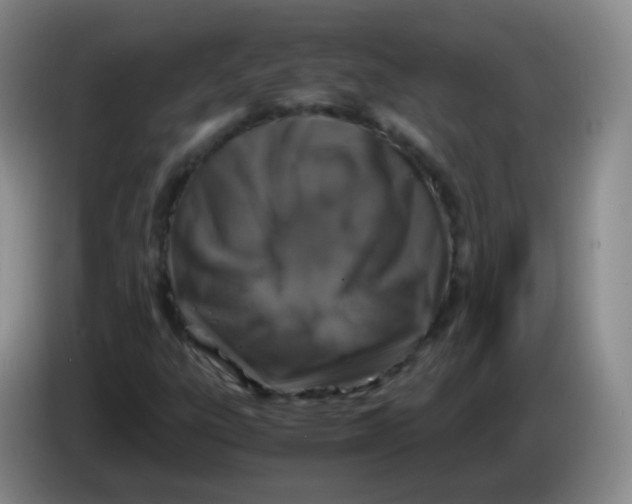 X0000083981303200703091815