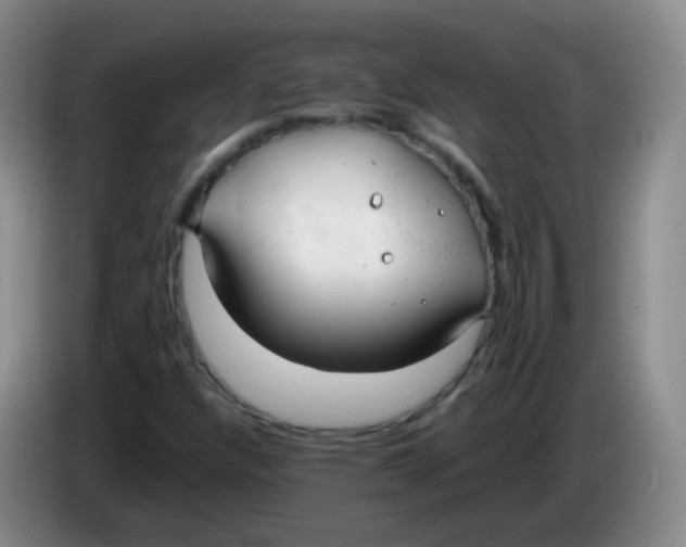 X0000083981304200703091815